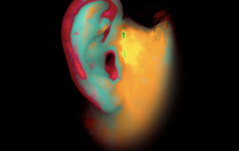 02_hearing