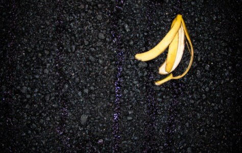 IMG_1546 IMG_1546